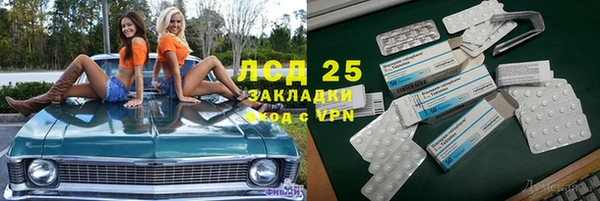 соль ск Ельня