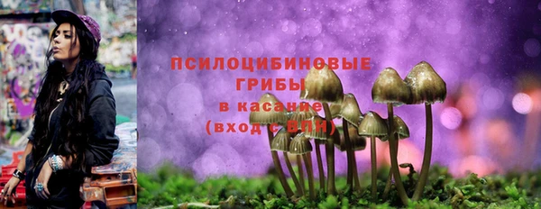 mix Елабуга