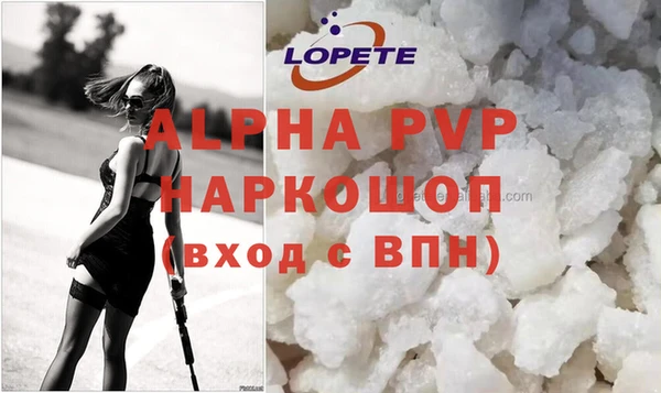 соль ск Ельня